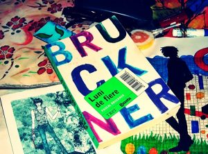 Pascal Bruckner – Luni de fiere